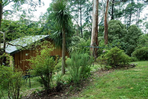 Luxury Forest Retreat - Puffing Billy - Kempsey Accommodation 2