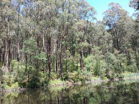 Lyrebird Gully Retreat - Kempsey Accommodation 2