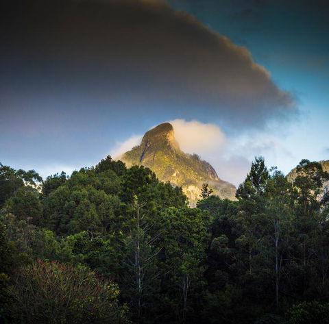 Mavis's Cabins @ Mt Warning - Kempsey Accommodation 1