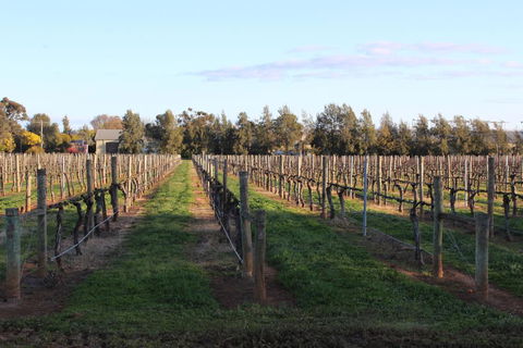 Milawa Vineyard Views - Guesthouse 1 - Kempsey Accommodation 1