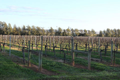 Milawa Vineyard Views - Guesthouse 2 - Kempsey Accommodation 0