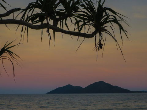 Mission Beach Hideaway Holiday Village - Kempsey Accommodation 1