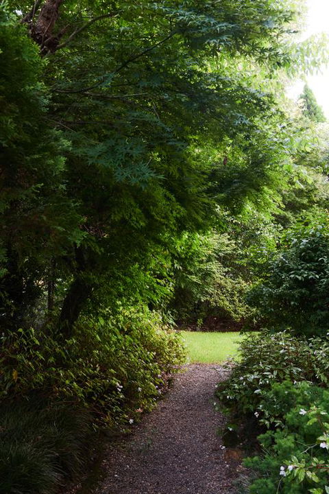 Mountain Sojourn - Kempsey Accommodation 3