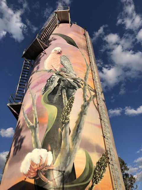 Moura Motel - Kempsey Accommodation 1