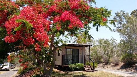 Mt Larcom Tourist Park - Kempsey Accommodation 0