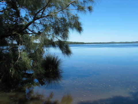 Myall River Magic - Kempsey Accommodation 1
