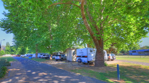 Myrtleford Holiday Park - Kempsey Accommodation 1