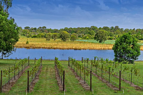 Narangba Motel (formerly Brisbane North B&B And Winery) - Kempsey Accommodation 3
