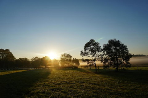 Narangba Motel (formerly Brisbane North B&B And Winery) - Kempsey Accommodation 2
