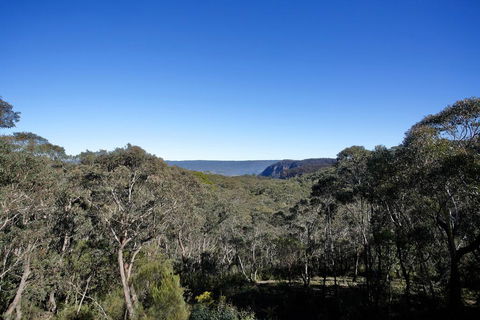Narrow Neck Lodge - Kempsey Accommodation 3