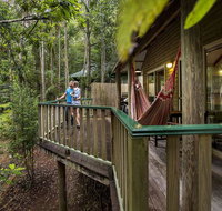 Narrows Escape Rainforest Retreat - Kempsey Accommodation