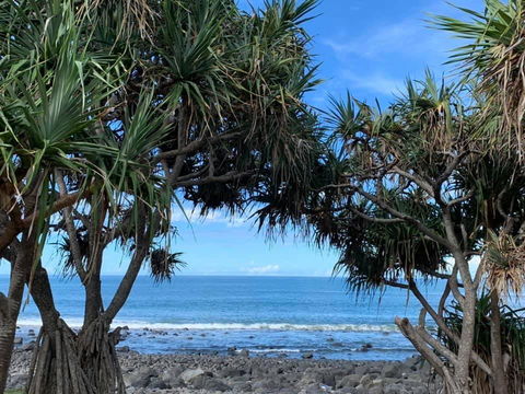 Nautilus Beachside Apartments - Kempsey Accommodation 3