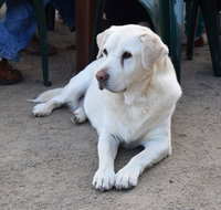 Nazaaray Beach House