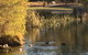 Lakeside Views - thumb 15