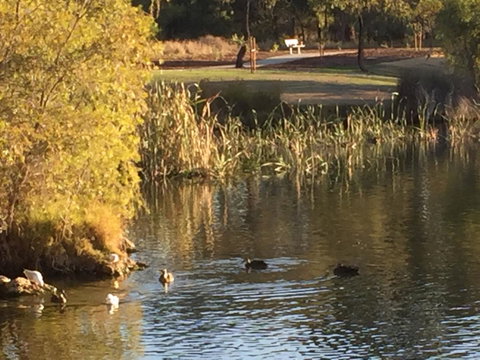 Lakeside Views - Kempsey Accommodation 15