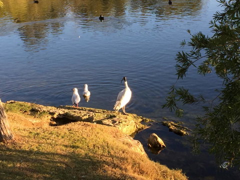 Lakeside Views - Kempsey Accommodation 19