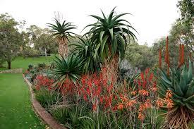Dunes Scarborough Beach - Kempsey Accommodation 34