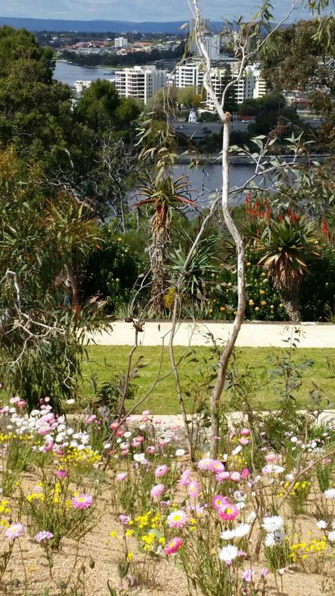 Dunes Scarborough Beach - Kempsey Accommodation 43