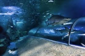 Dunes Scarborough Beach - Kempsey Accommodation 29