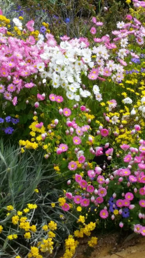 Dunes Scarborough Beach - Kempsey Accommodation 44