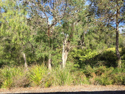 Cape Villas Dunsborough Unit 2 - Kempsey Accommodation 26