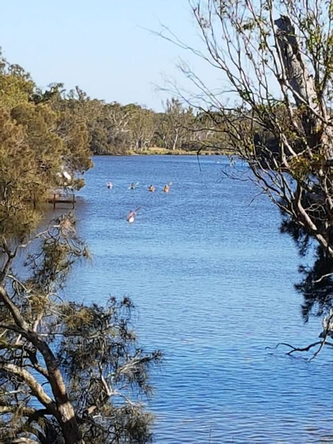 Jacaranda Hideaway Bed & Breakfast - Kempsey Accommodation 19