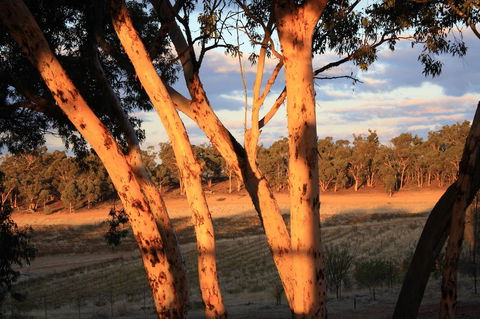 Hotham Ridge Estate - Kempsey Accommodation 30