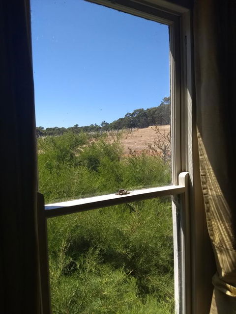 Hotham Ridge Estate - Kempsey Accommodation 8