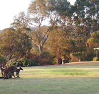 Riverside Retreat Chalets Walpole - Kempsey Accommodation
