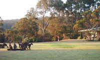 Book Walpole Accommodation Vacations Kempsey Accommodation Kempsey Accommodation