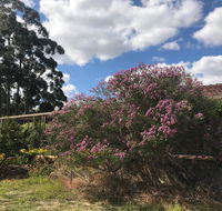 Cockburn Retreat Home  - Kempsey Accommodation