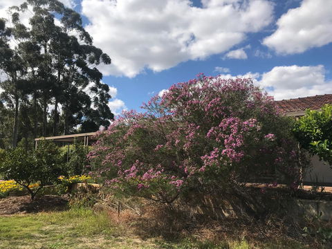 Cockburn Retreat Home æŸæ–¯æ‚ é–’æ°‘å®¿ - Kempsey Accommodation 0