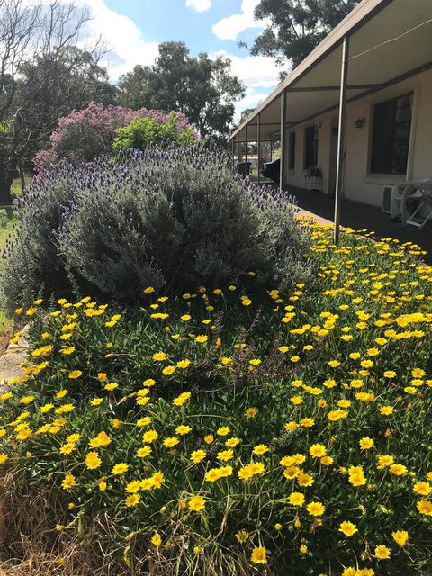 Cockburn Retreat Home æŸæ–¯æ‚ é–’æ°‘å®¿ - Kempsey Accommodation 3