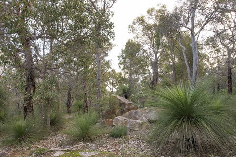 A Hidden Bush Delight - Kempsey Accommodation 23