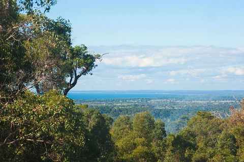 A Hidden Bush Delight - Kempsey Accommodation 31