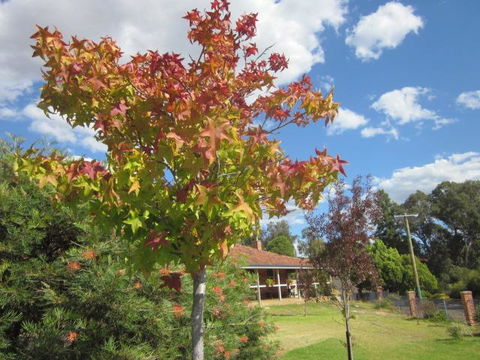 Bridgetown Valley Lodge - Kempsey Accommodation 40