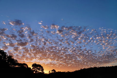 Bridgetown Valley Lodge - Kempsey Accommodation 6