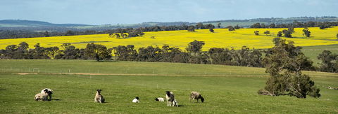 Kendenup Cottages And Lodge - Kempsey Accommodation 44