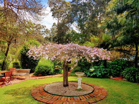 Adamsons Riverside Accommodation - Kempsey Accommodation 25