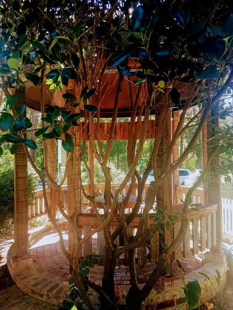 Adamsons Riverside Accommodation - Kempsey Accommodation 1