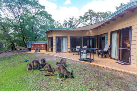 Yelverton Brook Conservation Sanctuary - Kempsey Accommodation 18