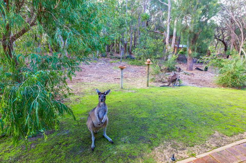 Yelverton Brook Conservation Sanctuary - Kempsey Accommodation 11