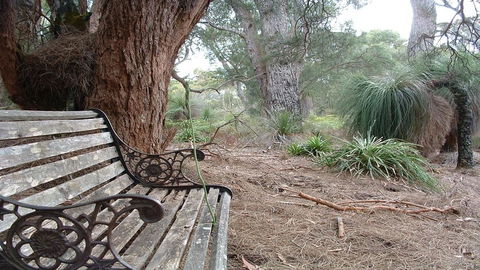 Yelverton Brook Conservation Sanctuary - Kempsey Accommodation 42