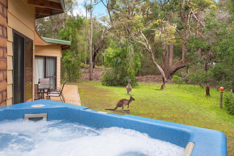 Yelverton Brook Conservation Sanctuary - Kempsey Accommodation 9