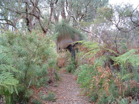 Yelverton Brook Conservation Sanctuary - Kempsey Accommodation 41