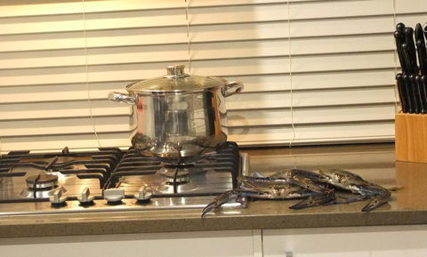 South Yunderup Holiday Rental - Kempsey Accommodation 12