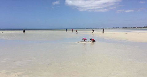 Beach House Dunsborough - Kempsey Accommodation 22