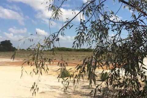 Ocean View Homestead - Kempsey Accommodation 16