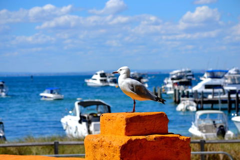Palms Bed & Breakfast - Kempsey Accommodation 25
