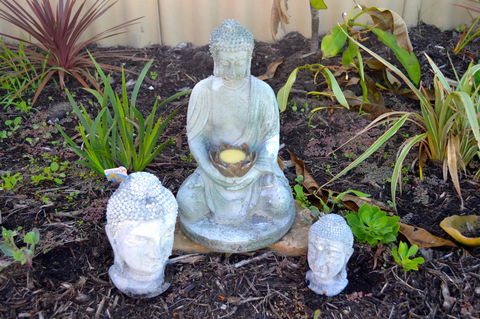 Palms Bed & Breakfast - Kempsey Accommodation 22